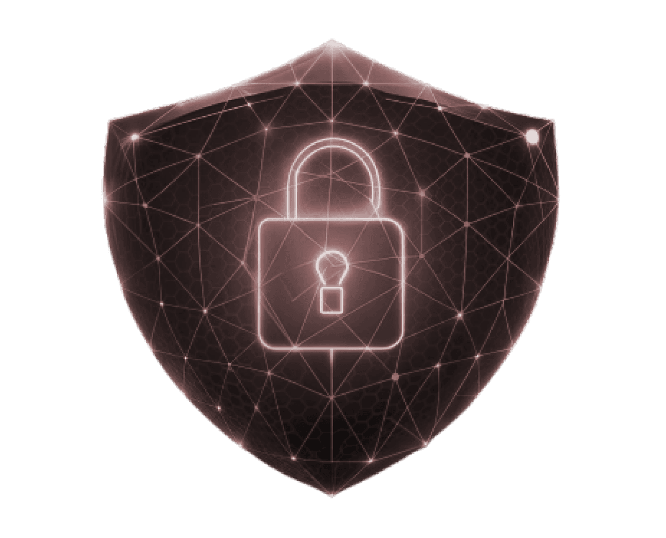 Security Shield